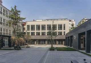 山西完美沙棘茶价格